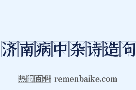 济南病中杂诗造句是什么意思的图片